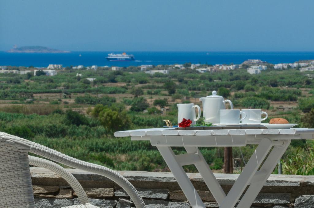 Bella Vista Villa Glinado Naxos