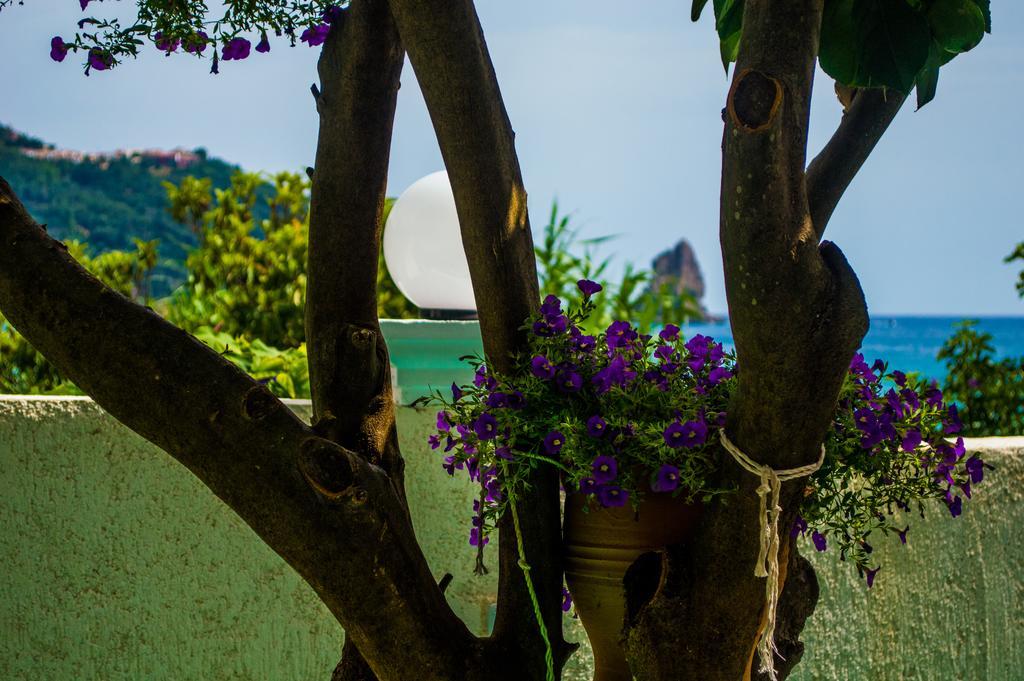 Holiday home Agathi House Agios Gordios (Corfu)
