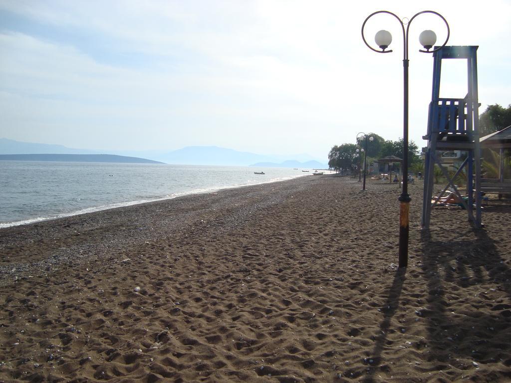 Apartment Dimitra