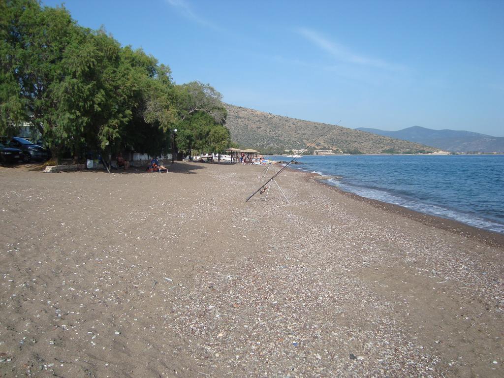 Dimitra *