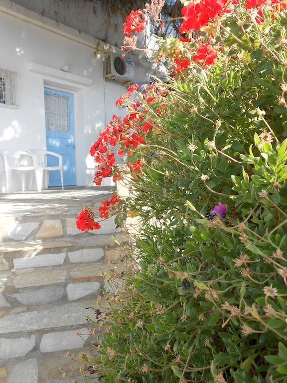 Voutsinou Apartment Kini