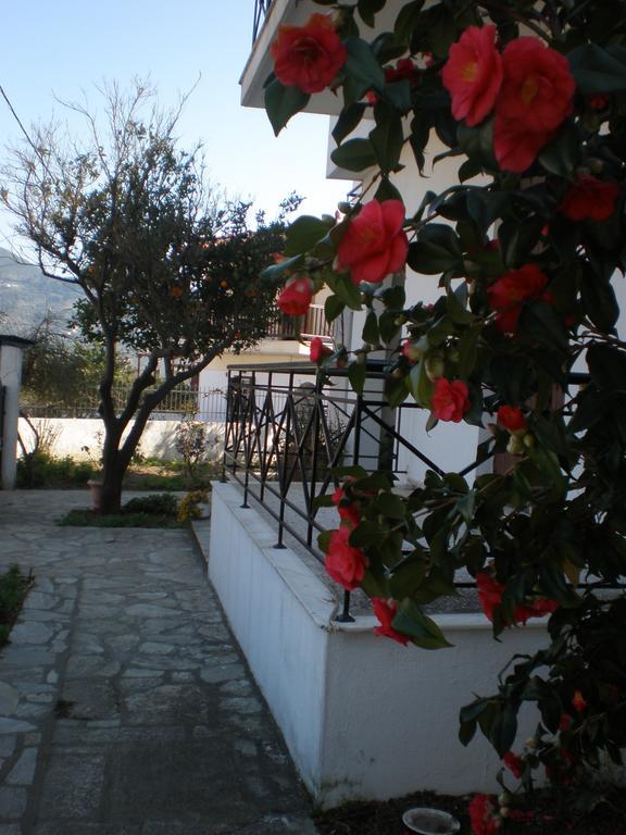Apartment Karagiozos Studios & Skopelos Town