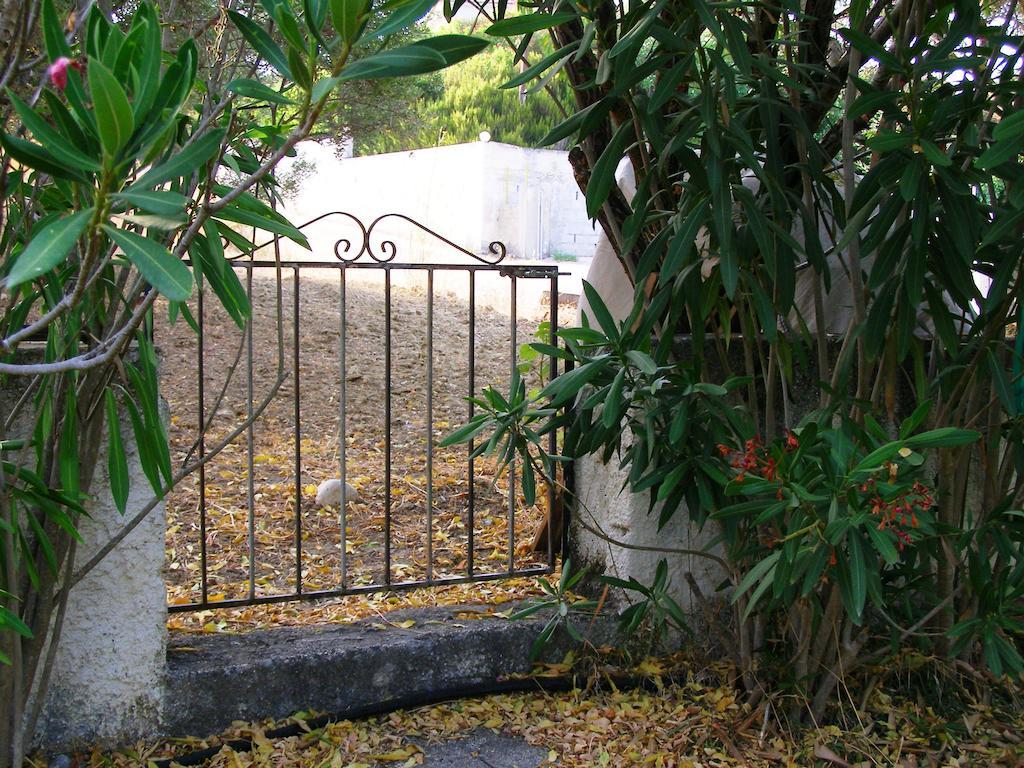 Polymnia * Spartia (Kefalonia)
