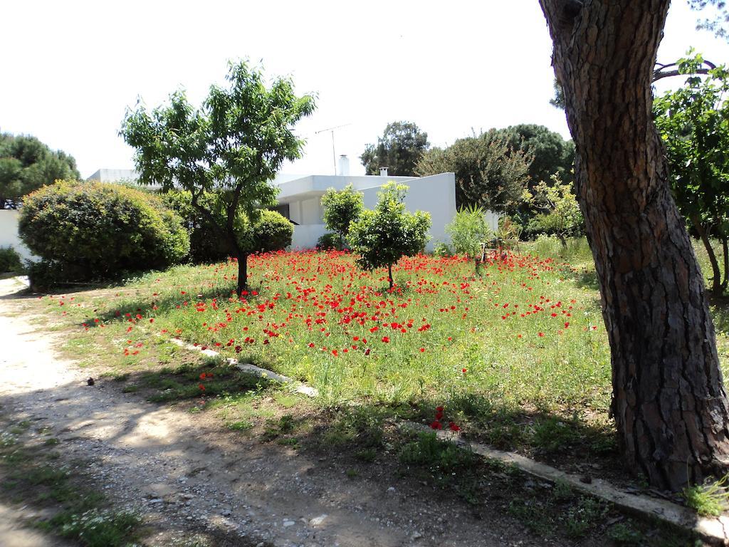 Villa Beachfront Hoopoe Schinias, Marathon Schinias