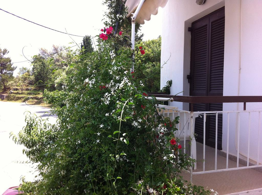 Georgia Guest house Nikiana