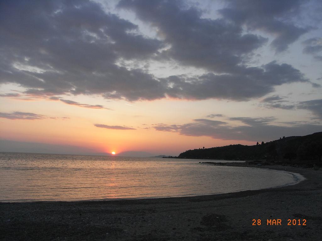 Tarsanas Luxury Apartment Paliouri