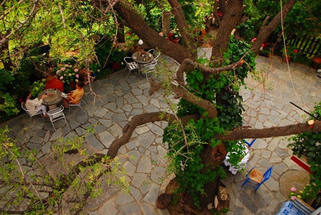 Guest house Atzanou Kamariotissa