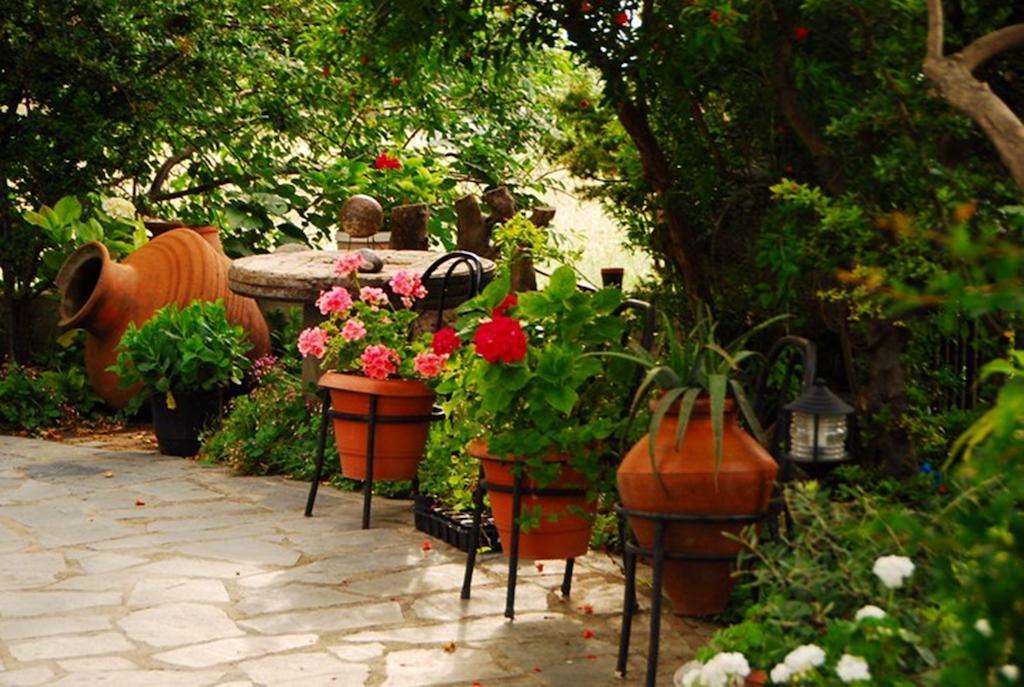 Atzanou Guest house *