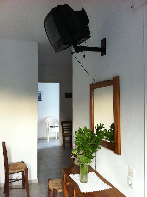 Apartment Oasis