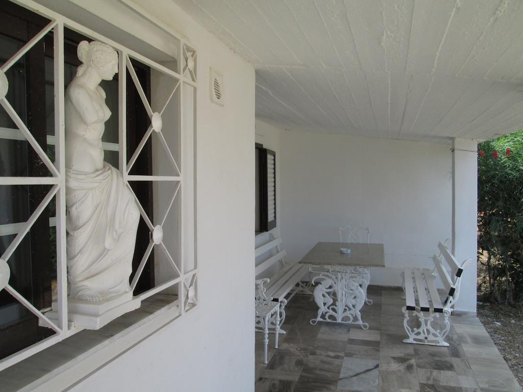 Apartment Bio House
