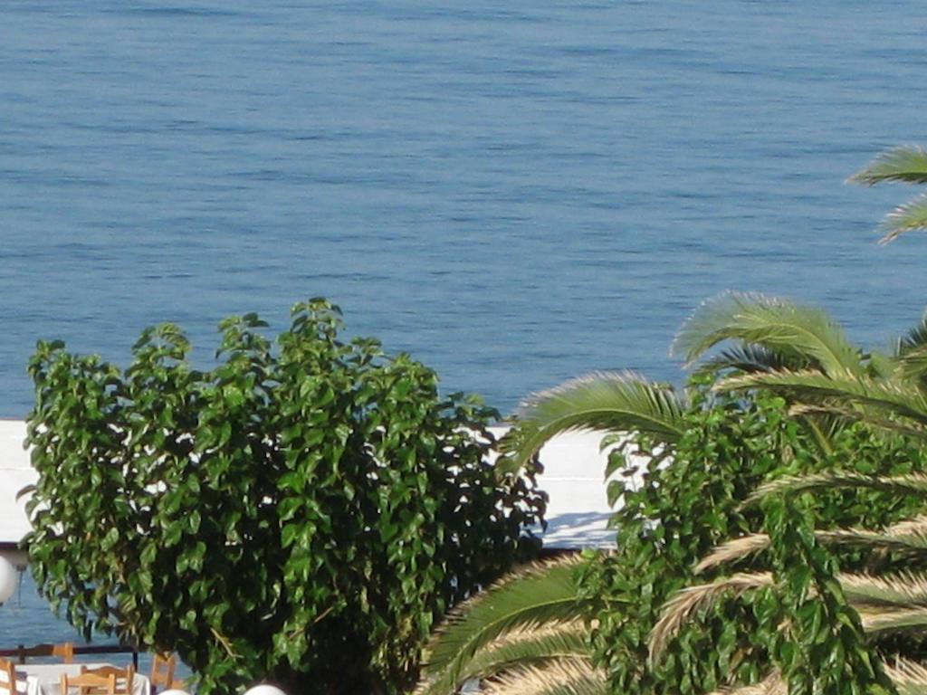 Maravelias House Guest house *