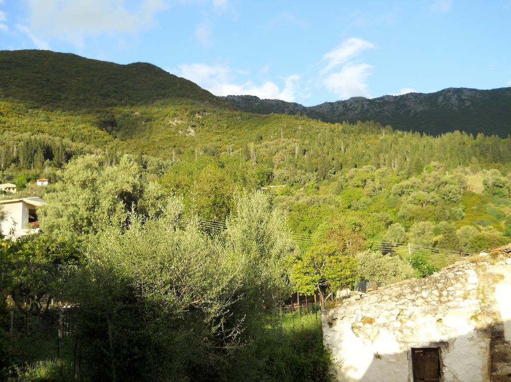 Apartment Lefkada *