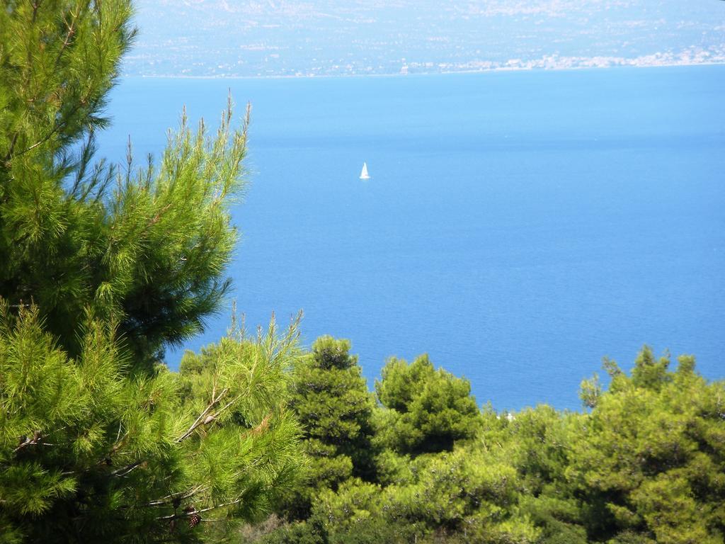 Xanthippe Kalamos (Attica)