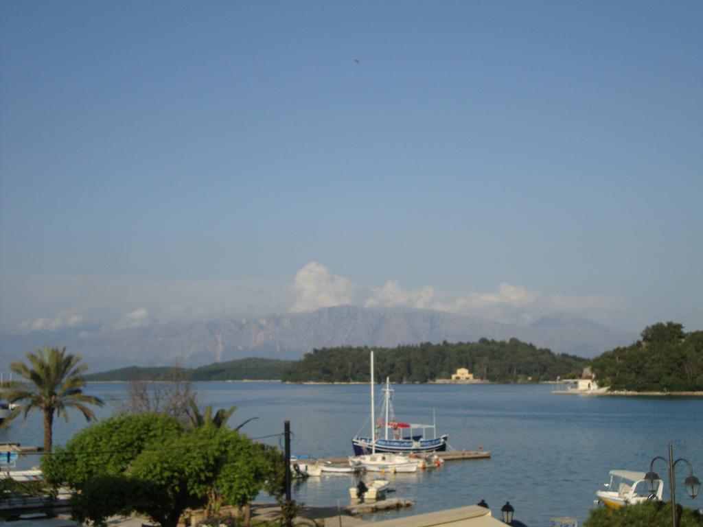 Cactus Mini * Nydri (Lefkada)