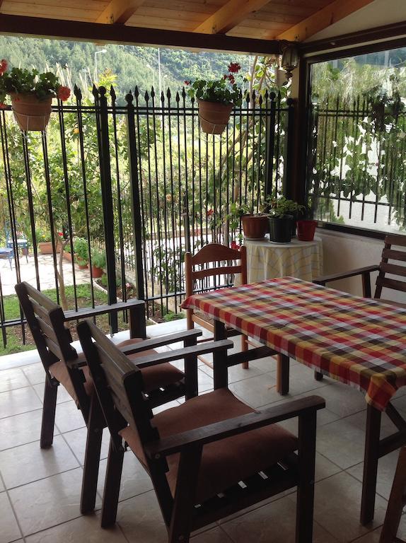 Zigos Apartment