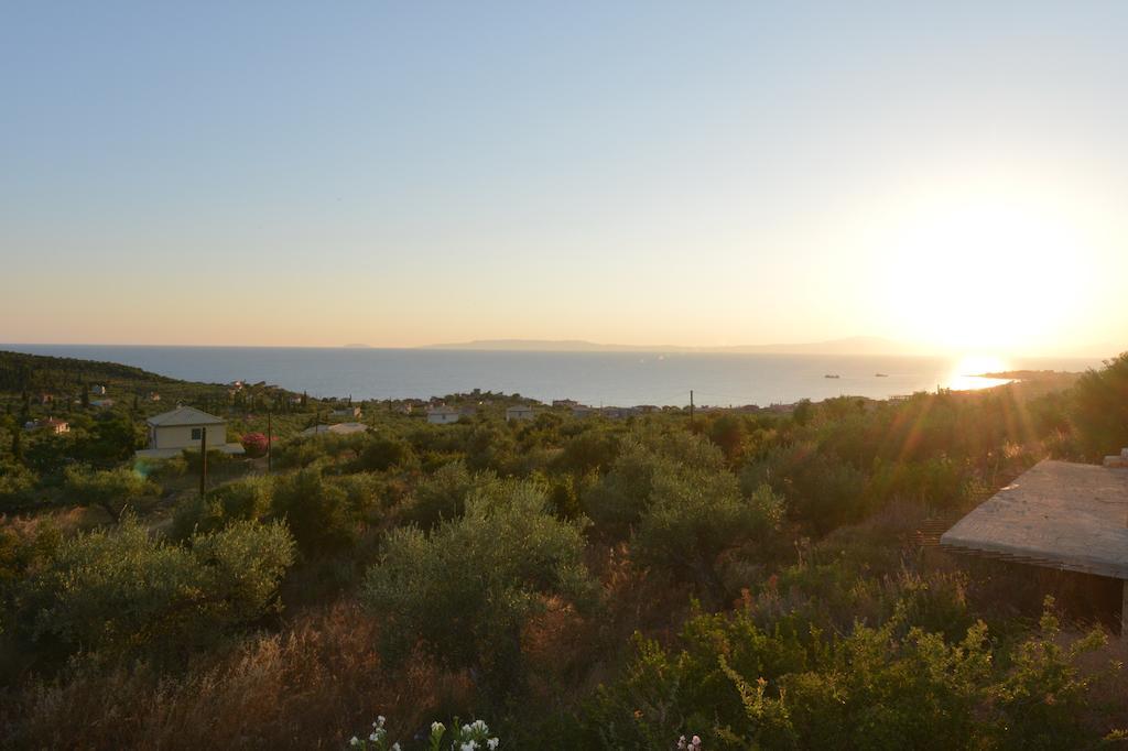 Villa Fotini Villas *