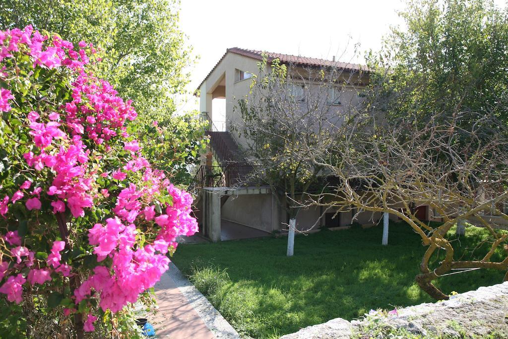 Ostria Villa Lixouri
