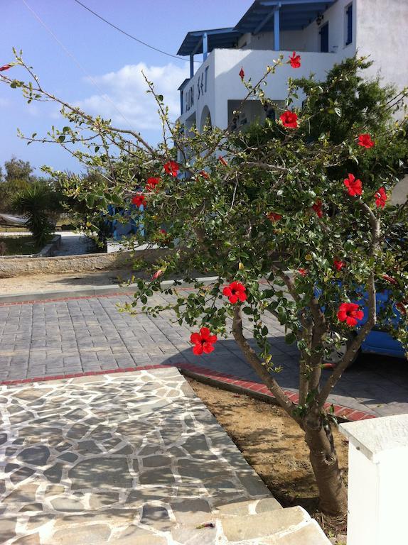 Vagos 2 Agios Prokopios (Naxos)