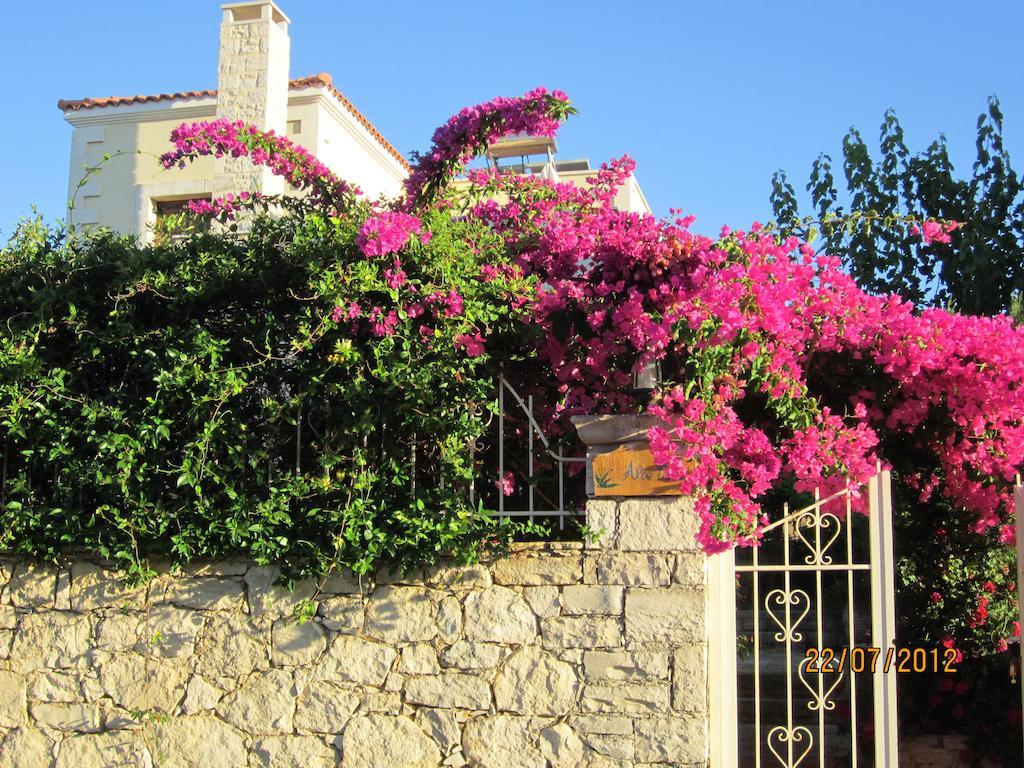 Villa Aloe & Lotus *