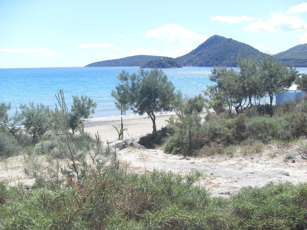 Pavlos - Tolo