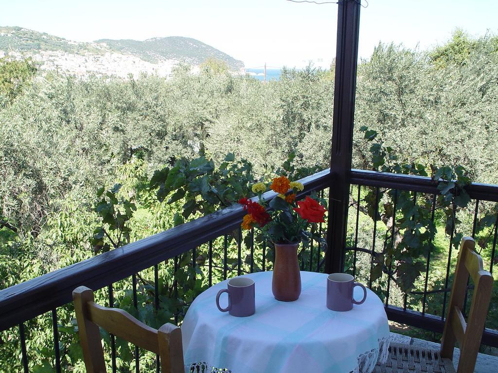 Apartment Platanakia *