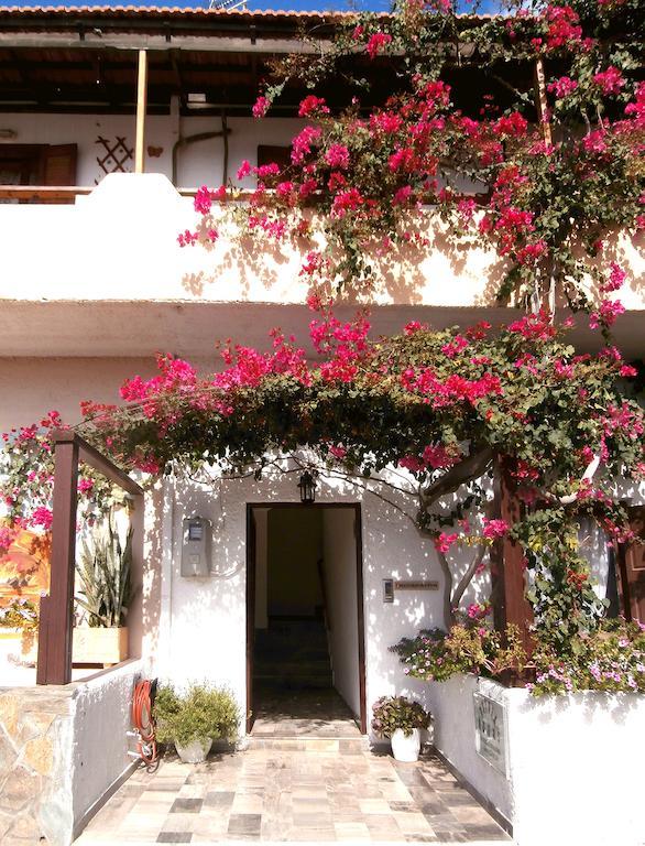 Apartment Ostria *