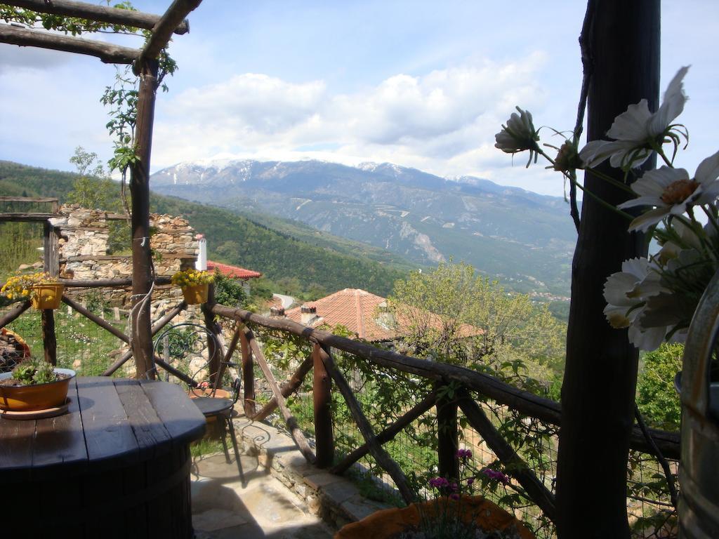 Guest house Oneiro *