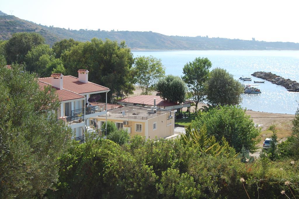 Odyssia