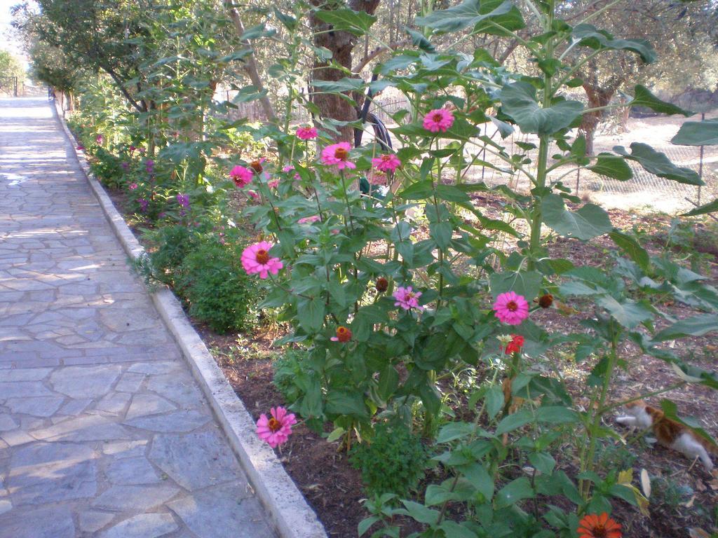 Apartment Vasiliki Petra (Lesbos)