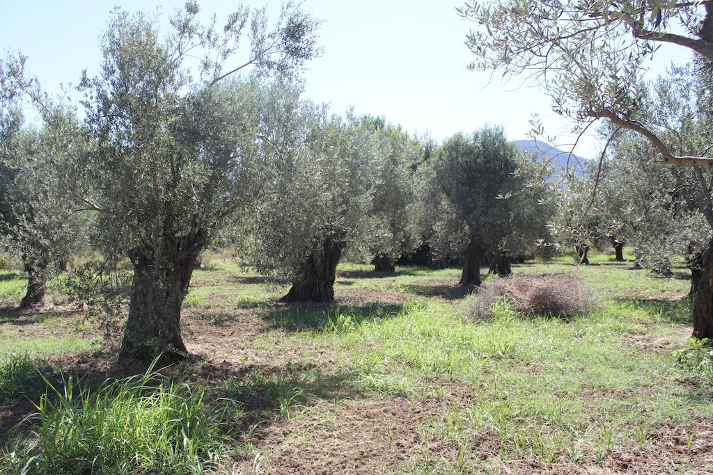 Karya Petra (Lesbos)
