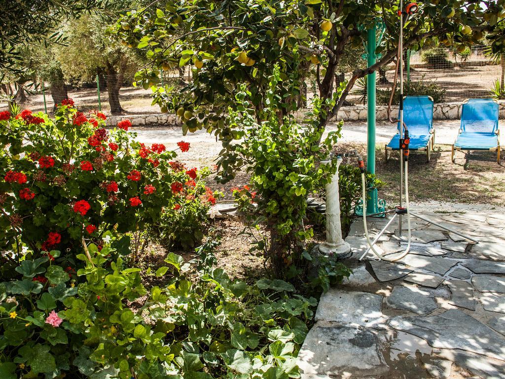 Areti Orfeas Studios Vasilikos (Zakynthos)