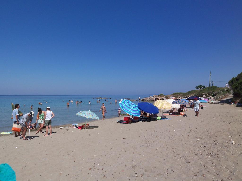Panorama