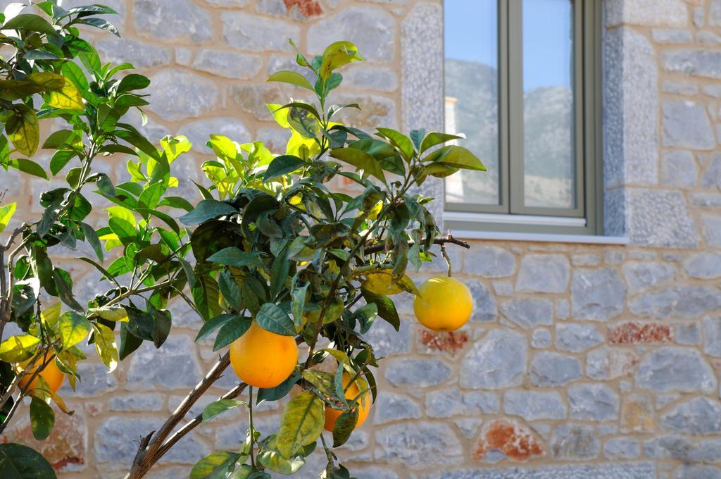Holiday home Nikoloudi Estate Agios Nikolaos (Mani)