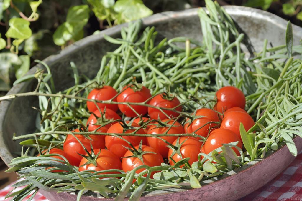 Gastronomy Kritsa Portaria (Magnesia)
