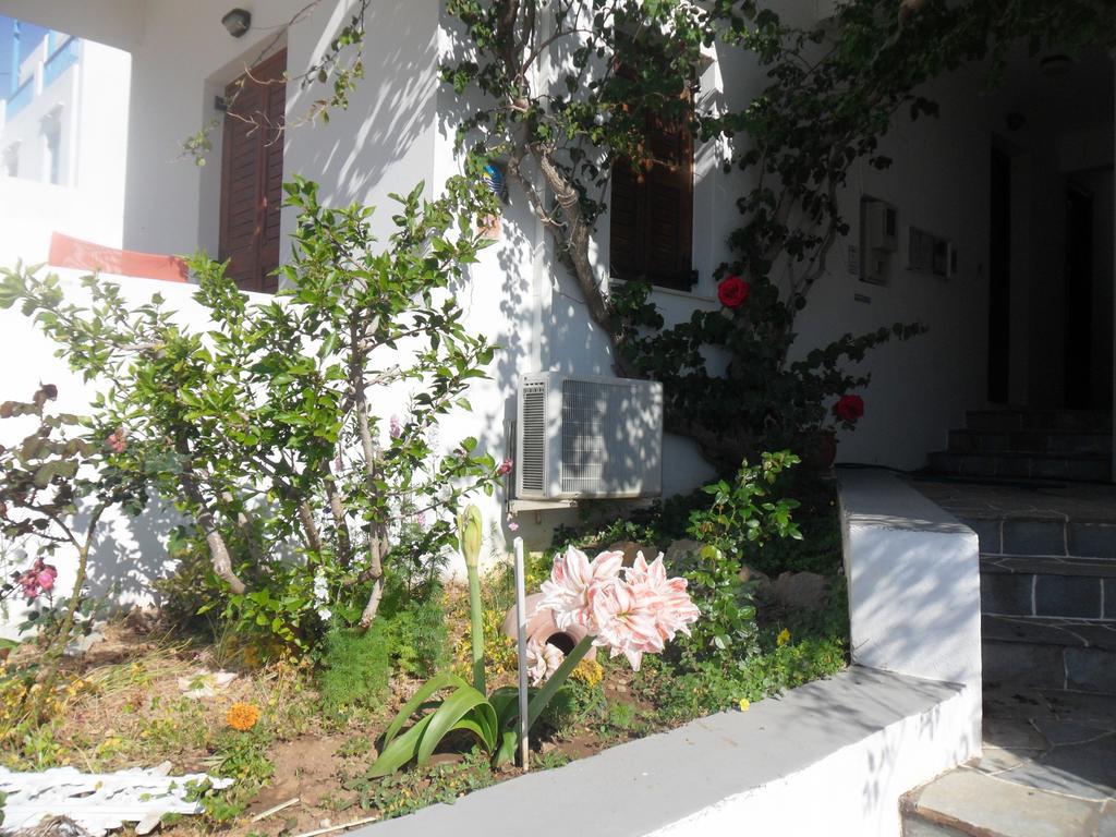 Guest house Froudi Kamares (Sifnos)