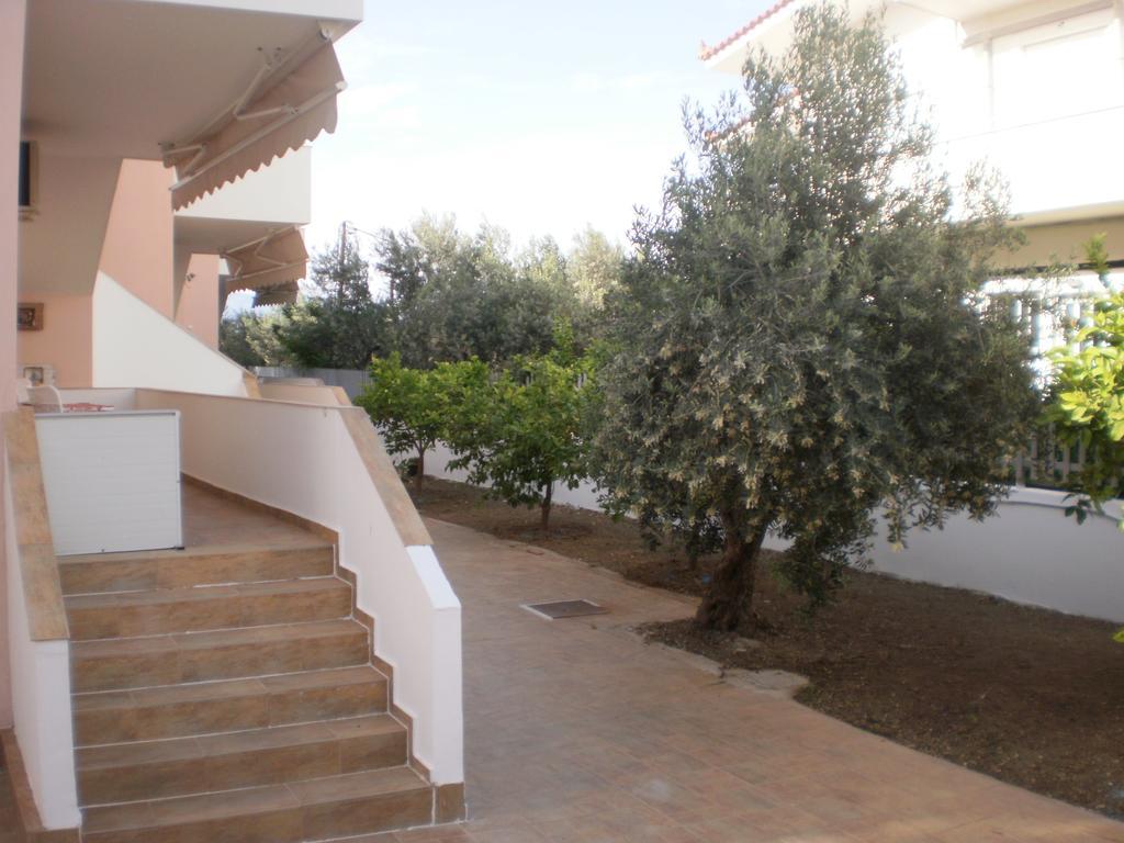 Apartment Areto