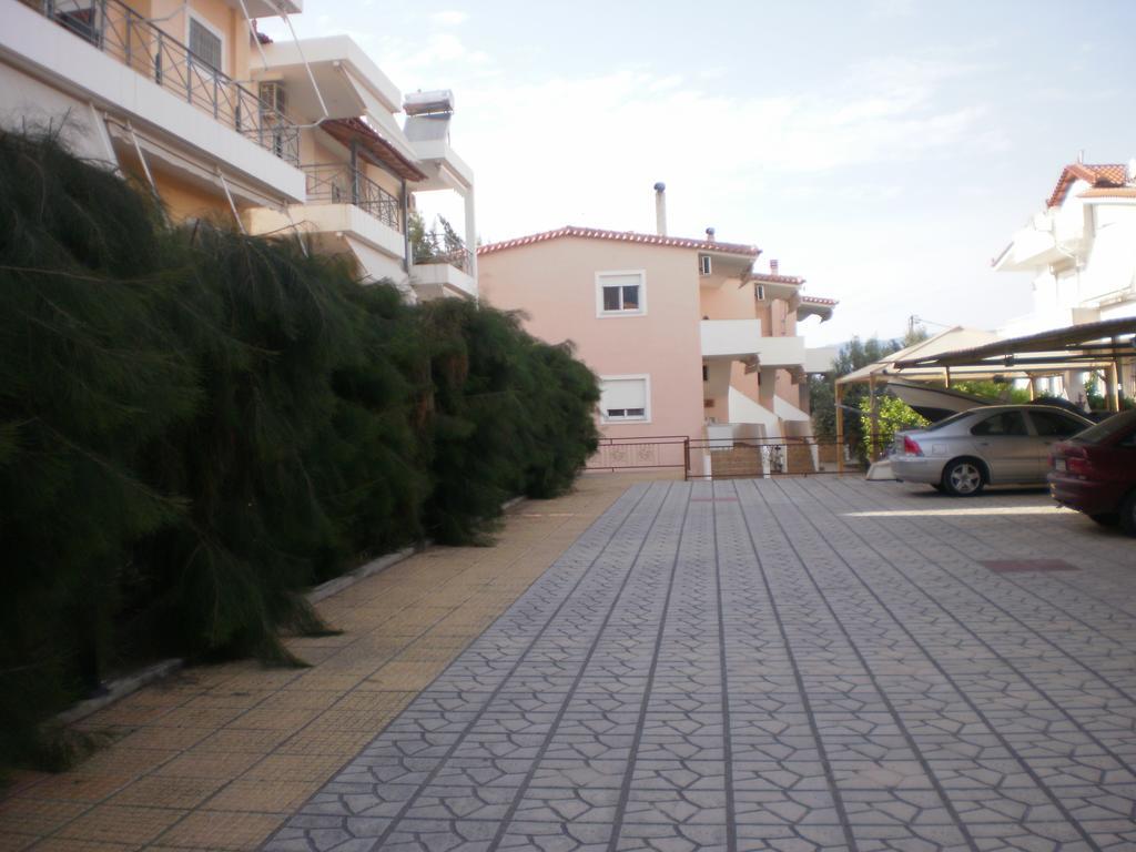 Areto Kato Almiri