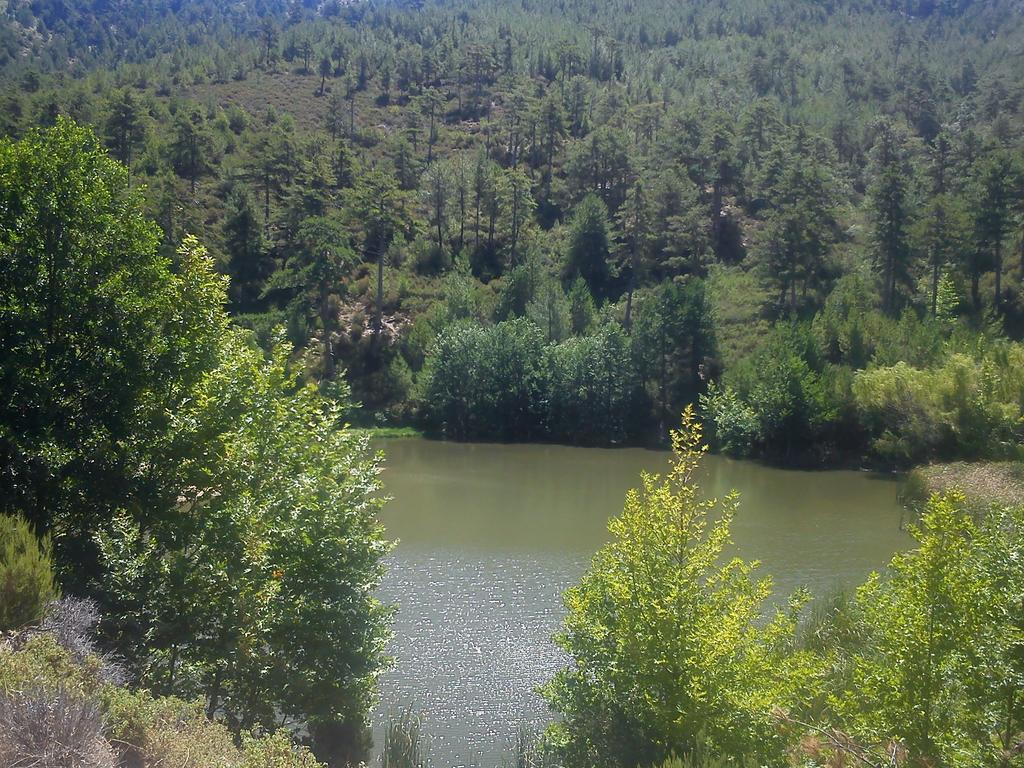 Guest house To Valsamo *