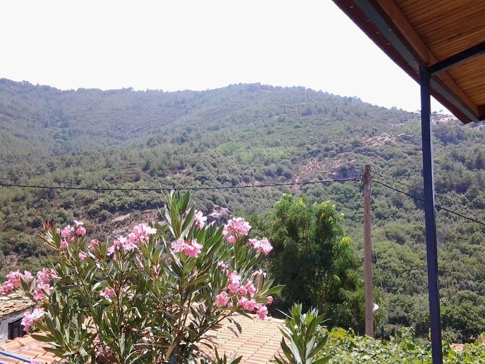 Guest house To Valsamo