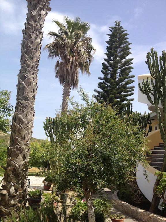Apartment Afentoulis 2 *