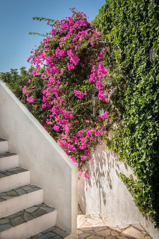 Aparthotel Ambelos Agia Pelagia (Crete)