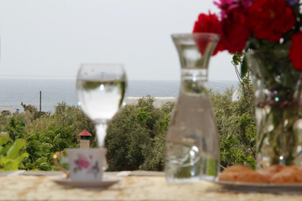 Aparthotel Dimitra 3*