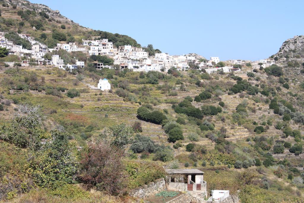 Matina - Stavros Traditional