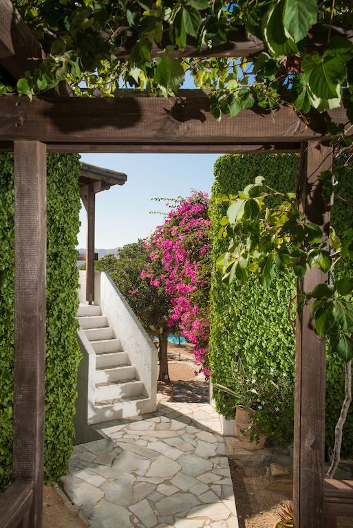 Aparthotel Ambelos Agia Pelagia (Crete)