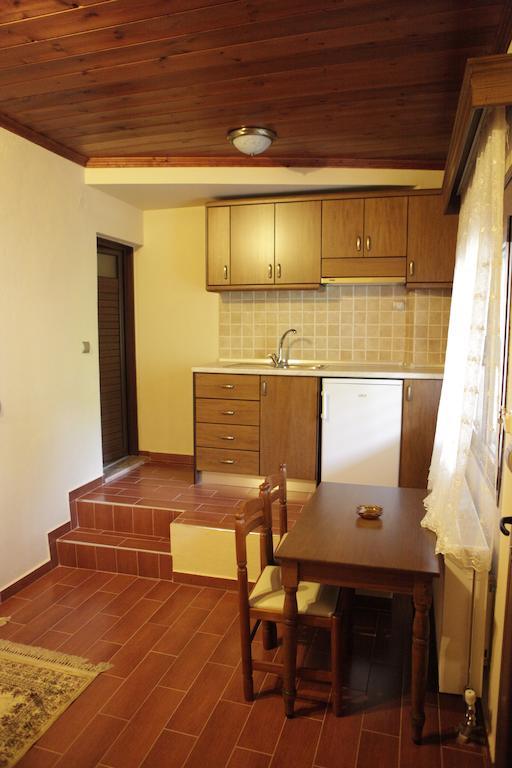Apartment Xenonas Platia *