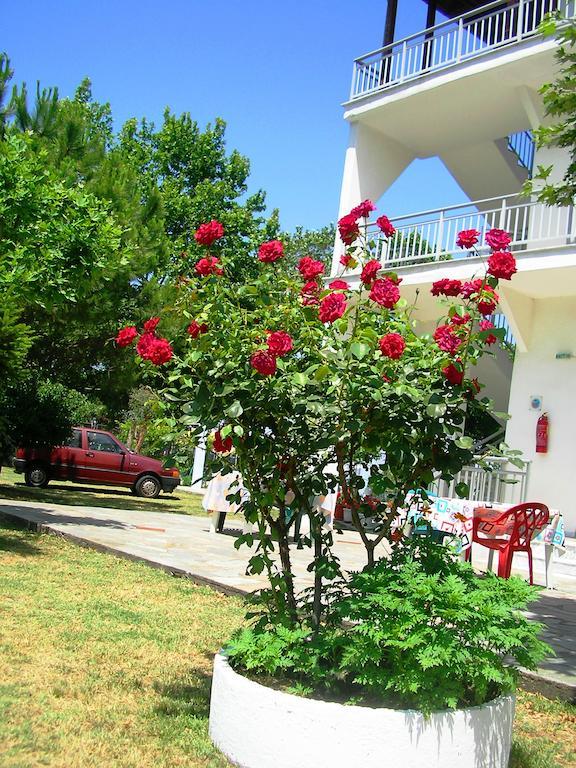 Apartment Ziogas Paralia Skotinis