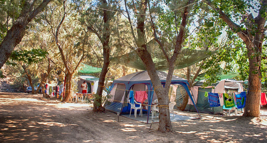 Campsite Nopigia