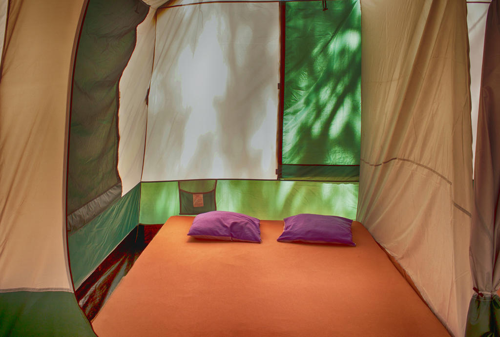 Campsite Nopigia