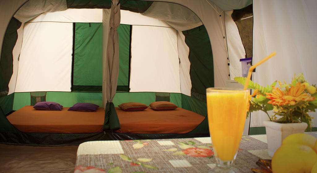 Campsite Nopigia *