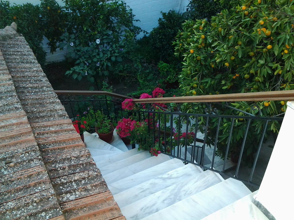 Apartment Maro Skala Kallonis